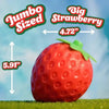 Strawberry Sensory Stress Ball